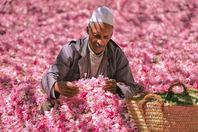 4 Days Small Group Tour From Marrakech to Merzouga - The Sum Up