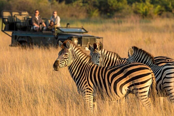 4 Days Small Group Tour to Garden Route From Cape Town - Included Activities and Attractions