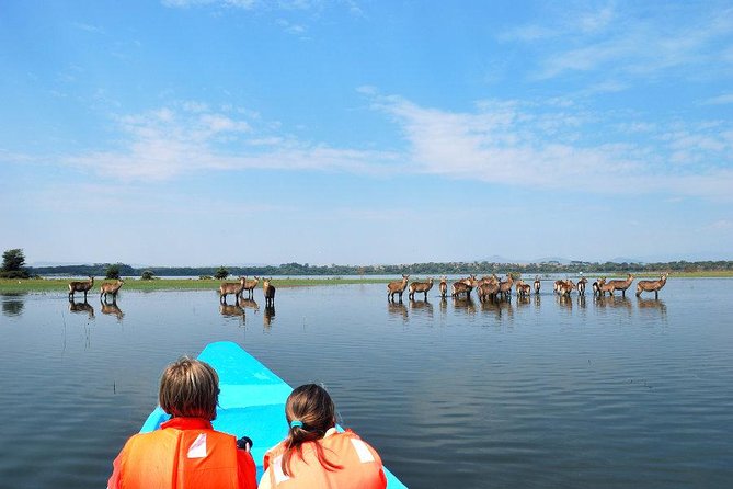 4 Days Special Lake Naivasha - Masai Mara Safari ( Minimum 2 Persons) - Pickup and Meeting Points