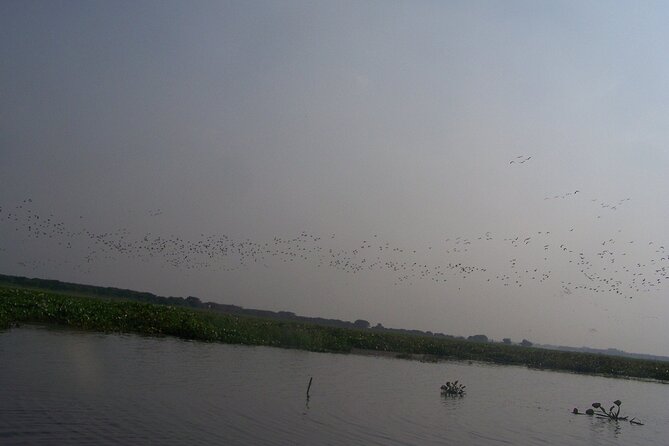 4-Days Srimangal Adventure Tour With Cycling Excursion - Guide and Commentary