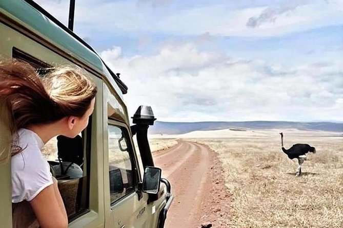 4 Days Tanzania Authentic Camping | Lodge Safari - Reviews and Testimonials