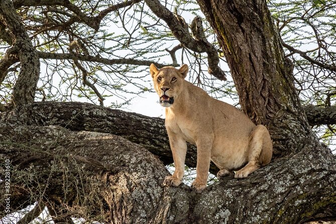 4 Days Tanzania Camping Safari - Packing Tips