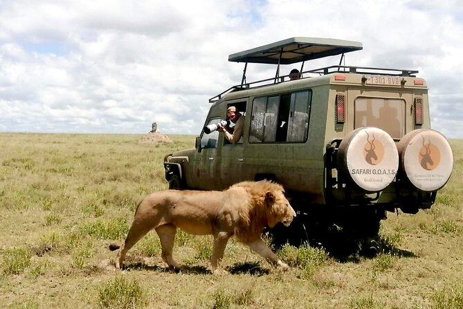 4 Days Tanzania Private Lodge Safari - Pickup Information