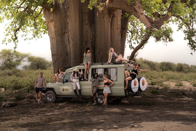 4 Days Tanzania Private Lodge Safari - Price and Reviews