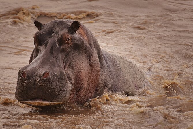 4 Days Tanzania Safari - Customer Reviews and Ratings