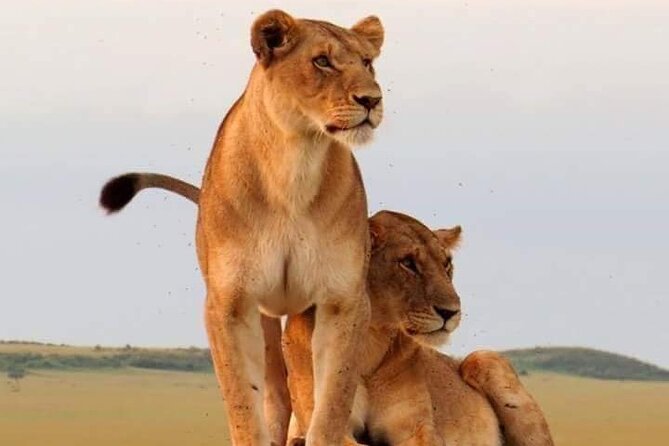 4 Days Tanzania Safari - Tarangire, Serengeti, Ngorongoro - Itinerary Overview