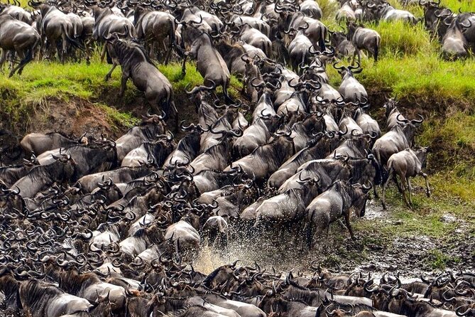 4-Days, Tarangire, Serengeti, and Ngorongoro Crater Join Tour - Meeting and Pickup Details