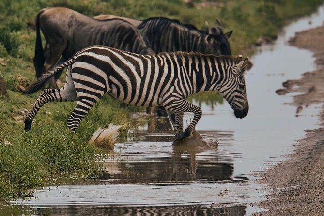 4-Days, Tarangire, Serengeti, and Ngorongoro Crater Join Tour - The Sum Up