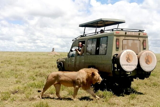 4 Days Tarangire, Serengeti & Ngorongoro Crater Joining Group - Cancellation Policy