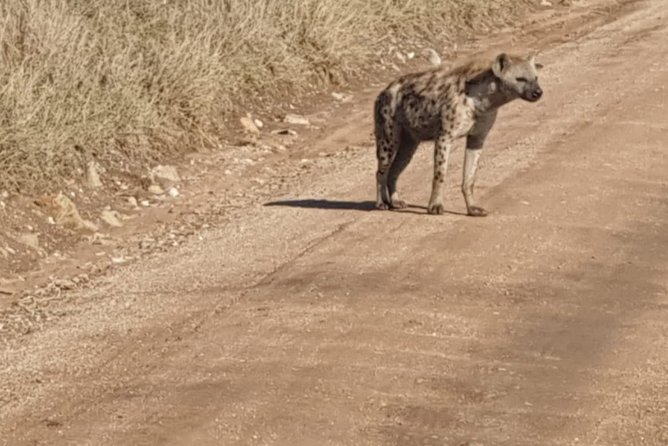 4 Days Tarangire / Serengeti / Ngorongoro & Manyara - Additional Information and Reviews