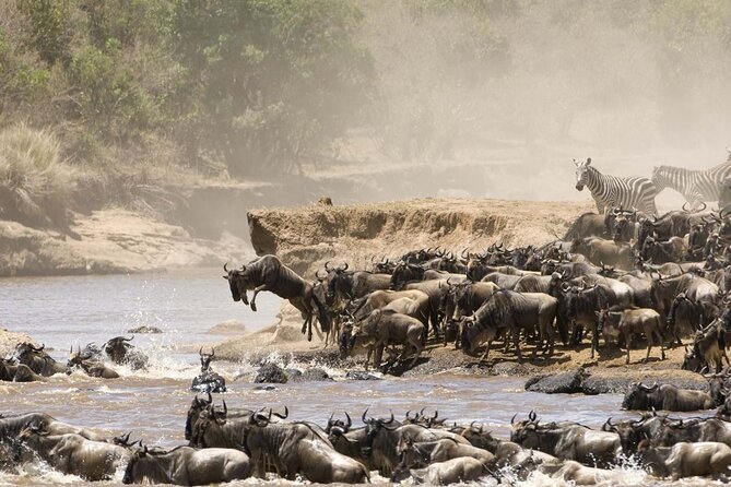 4 Days Tour Landcruiser in Masai Mara and Lake Nakuru - Wildlife Safari Experiences