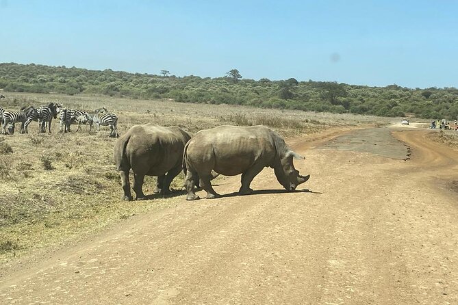 4 Days Tour Landcruiser in Masai Mara and Lake Nakuru - Booking Information and Pricing