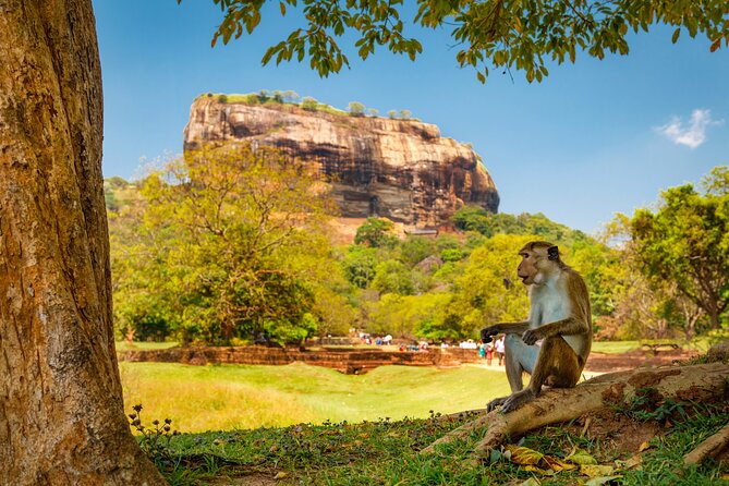 4 Days Tour To Kandy, Nuwara Eliya, Dambulla & Anuradhapura From Colombo - The Sum Up