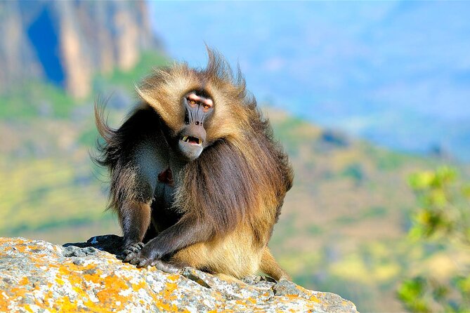 4 Days Tour to North Part of Ethiopia - What To Expect