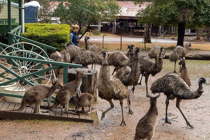 4 Days Tour to Pink Lake Kalbarri, Margaret River and South West - Introduction to the Tour Experience