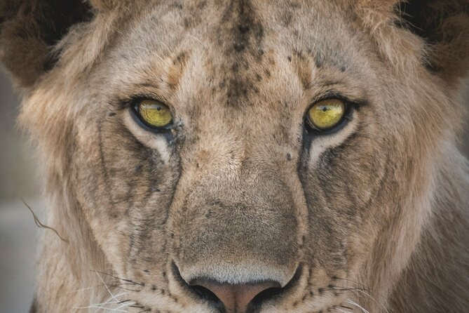 4-Days Tour to Tanzania National Parks - Frequently Asked Questions