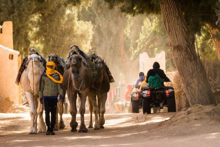 4 Days Tour to Tozeur, Douz, Jeep 4x4, Camel Ride, El Jem - Tour Details