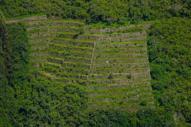 4 Days Trek at Choquequirao - Additional Information