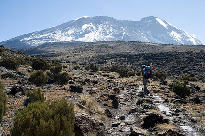 4 Days Trekking in Mount Kenya - Good To Know