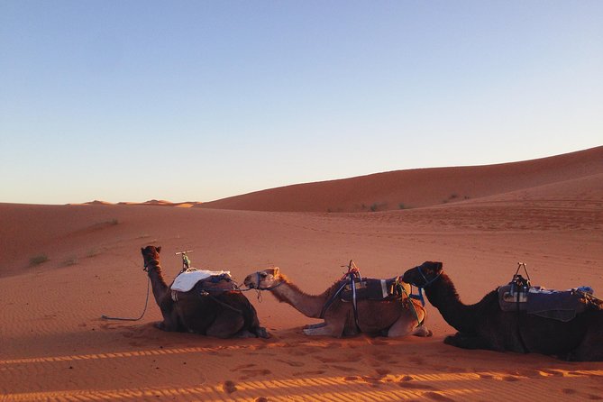 4 Days Trip From Marrakech to the Sahara Desert Incl. Hiking in Dades - Flexible Cancellation Policy