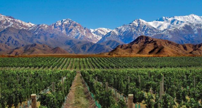 4 - Days Trip to Mendoza & The Andes - Experience Highlights