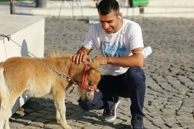 4-Days Turkey Tour Cappadocia Ephesus and Pamukkale - Traveler Photos and Reviews