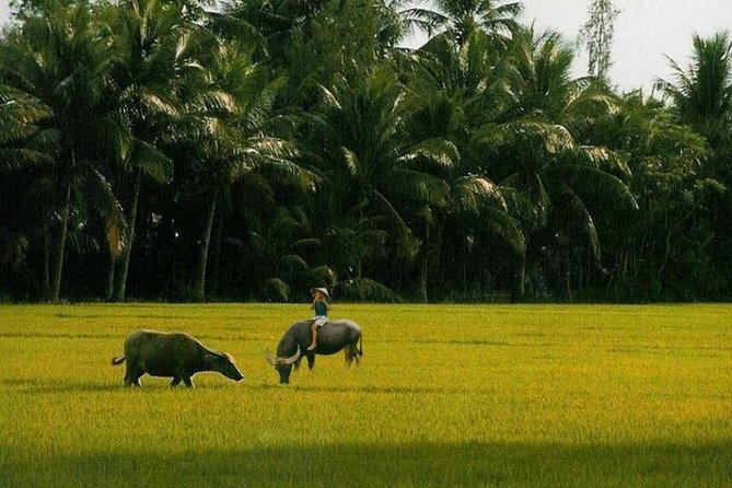 4 Days VIP Private Tour From Dalat - Saigon ( Luxury Car/Private VIP Motorbike) - Good To Know