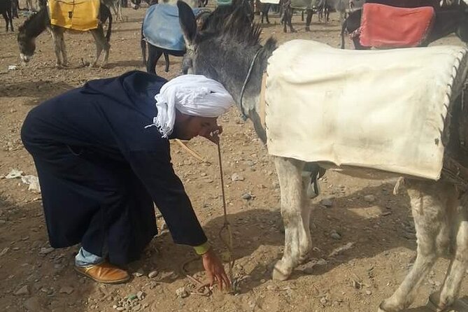 4-Days VIP Small Group Desert Tour Marrakech to Fez or Marrakech - Booking Information