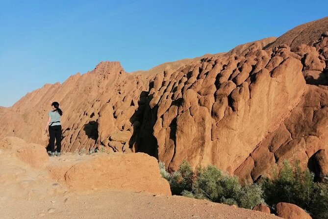 4-Days VIP Small Group Desert Tour Marrakech to Fez or Marrakech - Meeting and Pickup Details