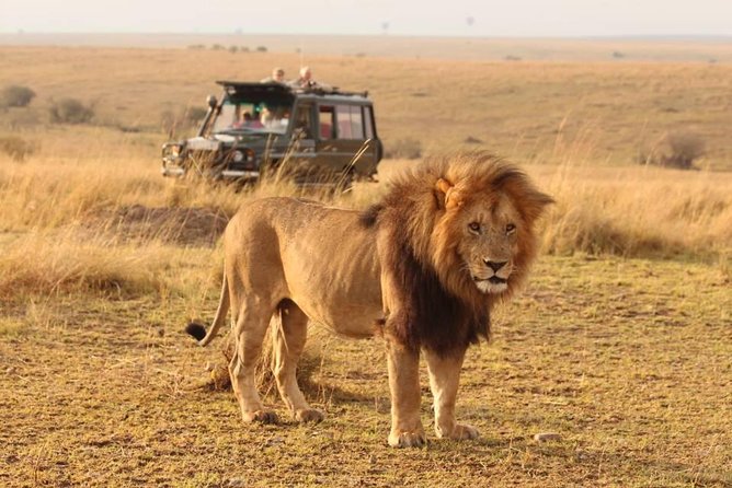 4 Days Wildlife Lodge Safari Tour in Kenya - Pricing and Cancellation Policy