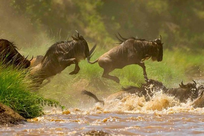 4 Days Wildlife Lodge Safari Tour in Kenya - Expectations and Participation