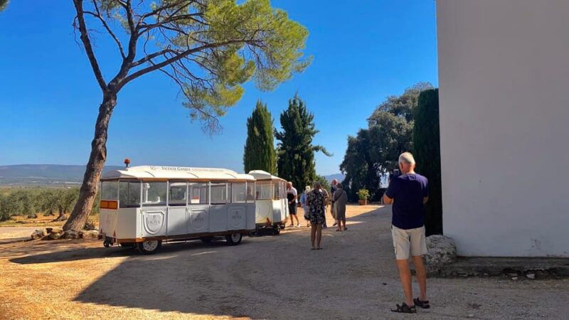 4-Days Wine Trip to Valencia & Requena! 16/9 - 20/9 - 2025 - Accommodation and Meals