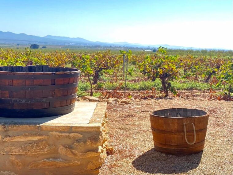 4-Days Wine Trip to Valencia & Requena! 16/9 - 20/9 - 2025 - Wine Tasting Experiences