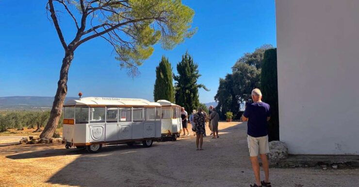 4-Days Wine Trip to Valencia & Requena! 24/9 - 29/9 - 2024 - Pricing & Inclusions Details
