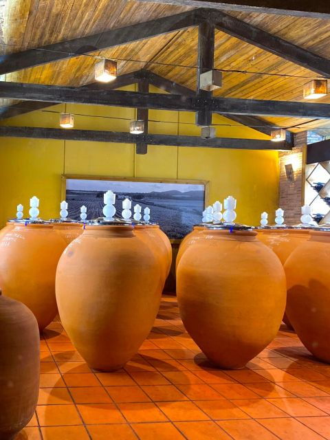 4-Days Wine Trip to Valencia & Requena! 24/9 - 29/9 - 2024 - Booking & Contact Information