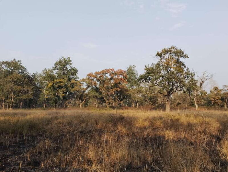 4 Days with One Tower Night Stay in Chitwan National Park - The Sum Up