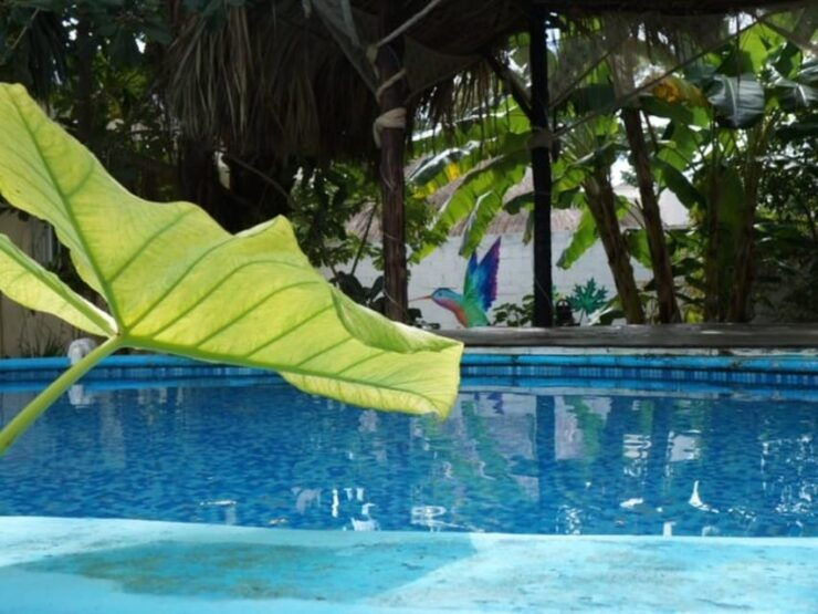 4 Days Yoga, Snorkel and Horseback Riding in Cozumel - Detailed Activity Schedule