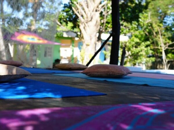 4 Days Yoga, Snorkel and Horseback Riding in Cozumel - Important Considerations