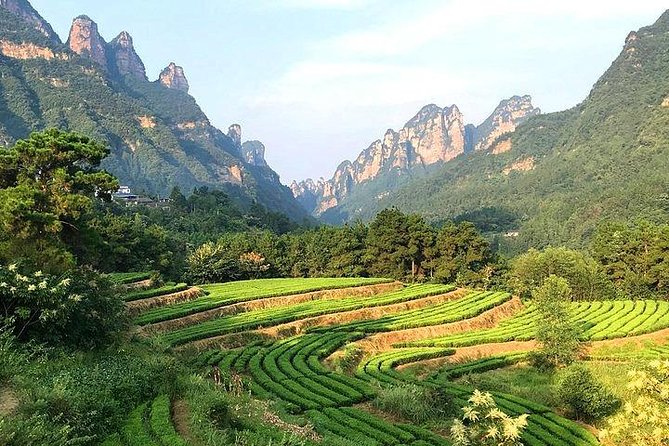 4 Days Zhangjiajie Highlights With Rice Terrace View (Hand-Picked Featured Inn) - Accommodation Details