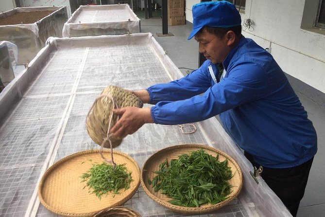 4 Days Zhangjiajie Highlights With Rice Terrace View (Hand-Picked Featured Inn) - The Sum Up