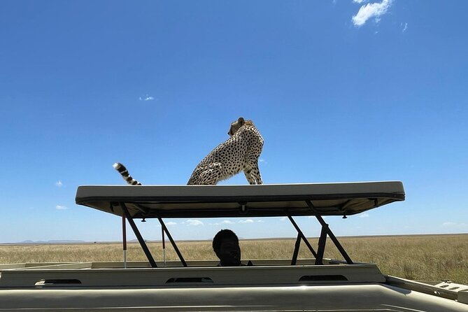 4 Days:tanzania Budget Safari - Frequently Asked Questions