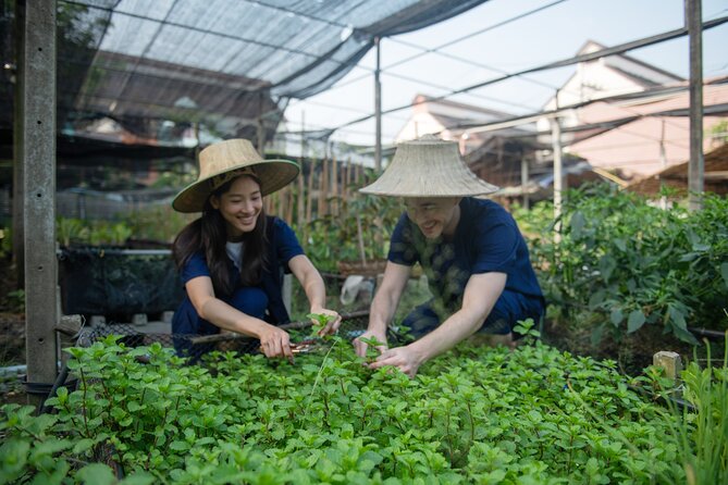 4 Dishes Thai Cuisine Experience at Bang Kruai, Nonthaburi - Additional Info