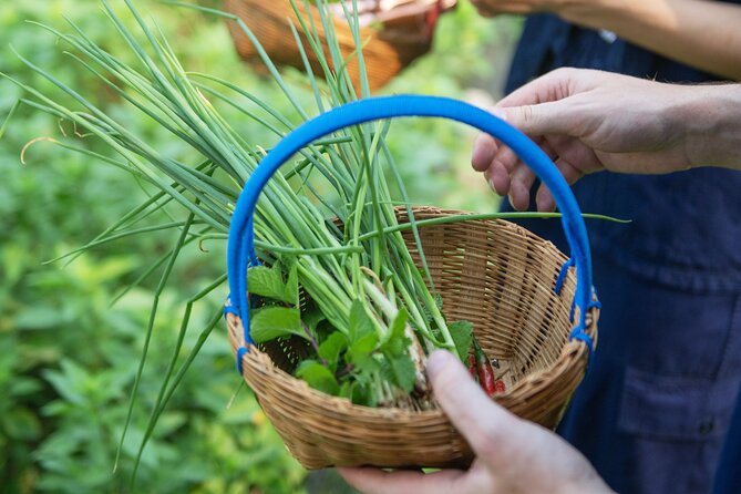 4 Dishes Thai Cuisine Experience at Bang Kruai, Nonthaburi - Common Questions