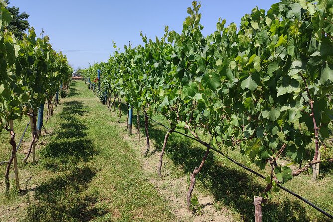 4 Group Tours Including Airport Transfers - Frequently Asked Questions