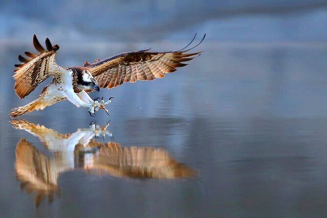 4-Hour, 5-seat ATV Rental next to Bryce National Park - A Closer Look at the Itinerary and Trail Highlights