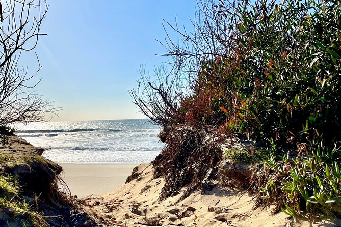 4 Hour Blissful Wave Experience at Maceda Haven - Pricing and Booking