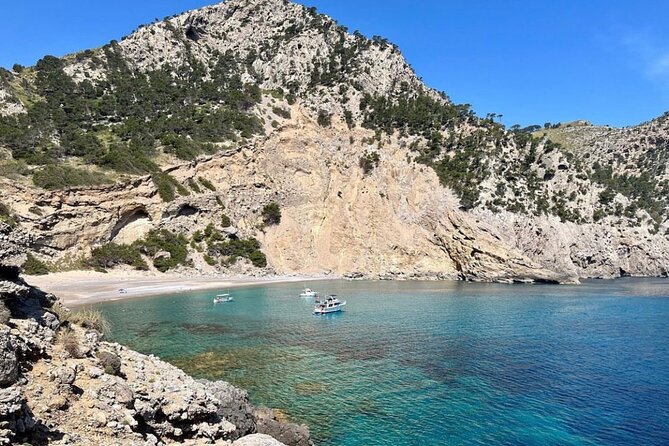 4 Hour Boat Adventurer Excursion With Drinks, Snack & Snorkelling - Snorkelling Experience