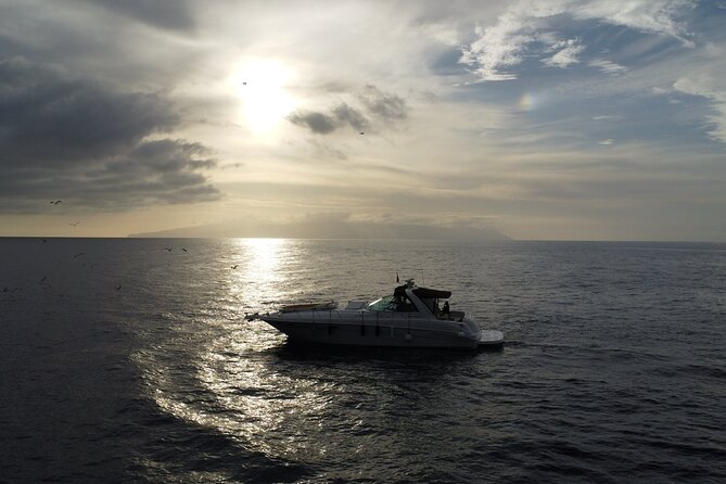 4 Hour Boat Tour With Snorkeling From Puerto Rico and Mogan - Boat Tour Description and Duration