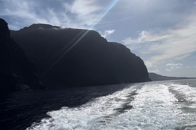 4 Hour Boat Tour With Snorkeling From Puerto Rico and Mogan - Common Questions