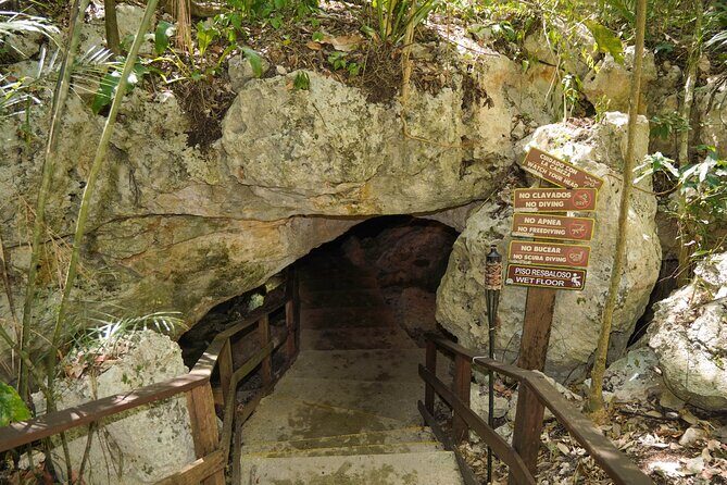 4-Hour Cenotes Tour with Hotel Pickup in Riviera Maya - Who Should Consider This Tour?